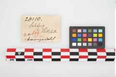 Etikett zu Bimetallantennendolch (NHMW-PRAE-026110)